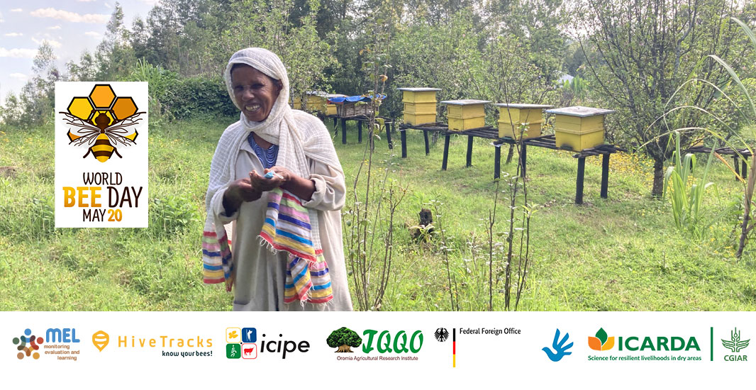 World Day Bee 2023 World Day Bee 2023