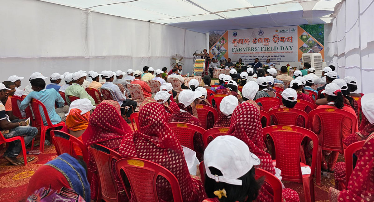 Farmers’ Field Day at Khadiapala, Keonjhar, Odisha, India    Photo credit: Ashis Kumar Jena, District Coordinator, IAP project Farmers’ Field Day at Khadiapala, Keonjhar, Odisha, India    Photo credit: Ashis Kumar Jena, District Coordinator, IAP project