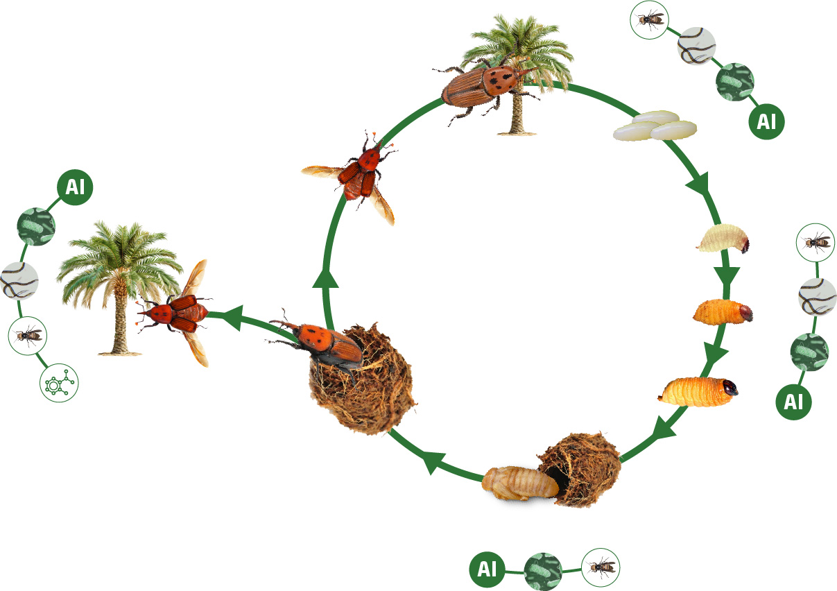 biobased-solutions