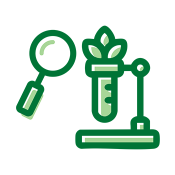 Research areas