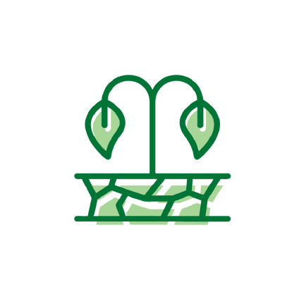 Icon image