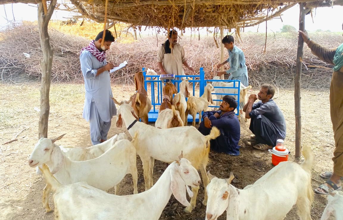 CBBP in Pakistan CBBP in Pakistan