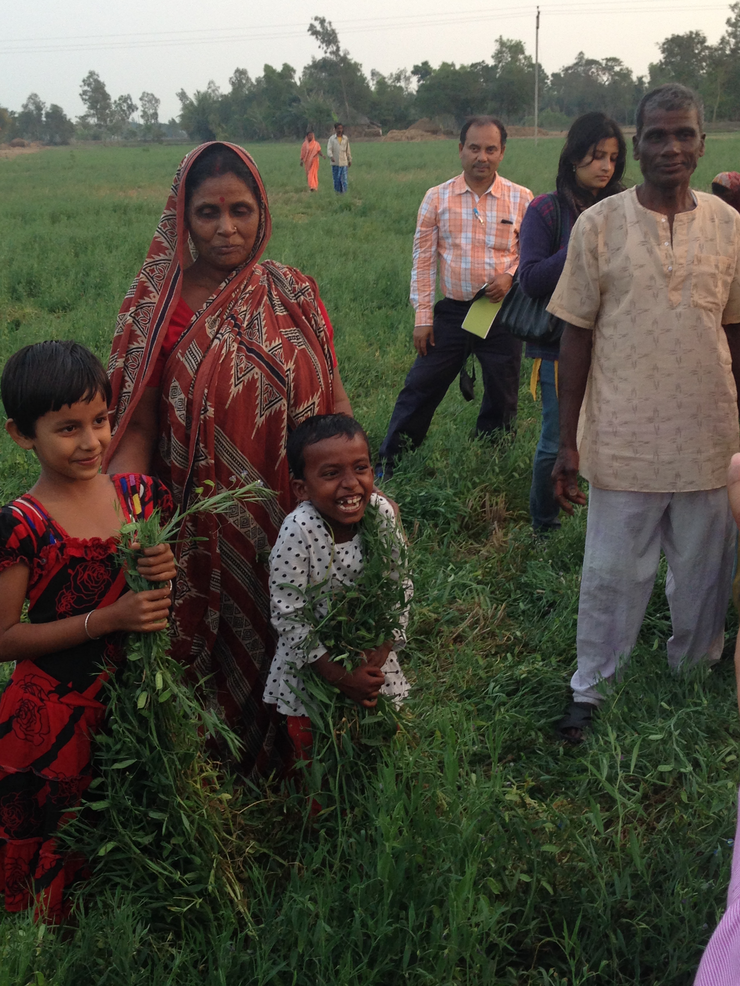 Farmers’ Field Day participants take a close look at the BARIMasur-8 crop