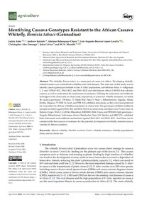 Identifying Cassava Genotypes Resistant to the African Cassava Whitefly, Bemisia tabaci (Gennadius) Identifying Cassava Genotypes Resistant to the African Cassava Whitefly, Bemisia tabaci (Gennadius)