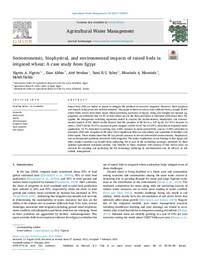Socioeconomic, biophysical, and environmental impacts of raised beds in irrigated wheat: A case study from Egypt Socioeconomic, biophysical, and environmental impacts of raised beds in irrigated wheat: A case study from Egypt