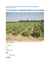 Cactus cultivation as adaptation method for women in Egypt Cactus cultivation as adaptation method for women in Egypt