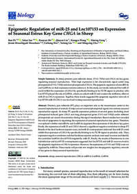 Epigenetic Regulation of miR-25 and Lnc107153 on Expression of Seasonal Estrus Key Gene CHGA in Sheep Epigenetic Regulation of miR-25 and Lnc107153 on Expression of Seasonal Estrus Key Gene CHGA in Sheep