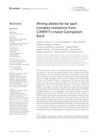 Mining alleles for tar spot complex resistance from CIMMYT's maize Germplasm Bank Mining alleles for tar spot complex resistance from CIMMYT's maize Germplasm Bank
