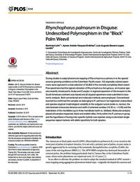 Rhynchophorus palmarum in Disguise: Undescribed Polymorphism in the “Black” Palm Weevil Rhynchophorus palmarum in Disguise: Undescribed Polymorphism in the “Black” Palm Weevil