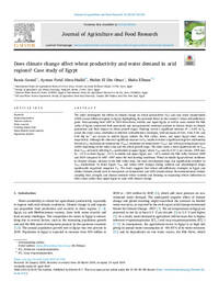 Does climate change affect wheat productivity and water demand in arid regions? Case study of Egypt