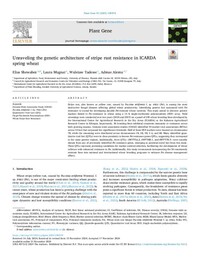 Unraveling the genetic architecture of stripe rust resistance in ICARDA spring wheat Unraveling the genetic architecture of stripe rust resistance in ICARDA spring wheat