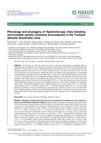 Phenology and phylogeny of Hyalomma spp. ticks infesting one-humped camels (Camelus dromedarius) in the Tunisian Saharan bioclimatic zone Phenology and phylogeny of Hyalomma spp. ticks infesting one-humped camels (Camelus dromedarius) in the Tunisian Saharan bioclimatic zone