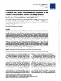 Conserved and Unique Putative Effectors Expressed in the Salivary Glands of Three Related Gall Midge Species Conserved and Unique Putative Effectors Expressed in the Salivary Glands of Three Related Gall Midge Species