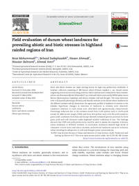 Field evaluation of durum wheat landraces forprevailing abiotic and biotic stresses in highlandrainfed regions of Iran Field evaluation of durum wheat landraces forprevailing abiotic and biotic stresses in highlandrainfed regions of Iran
