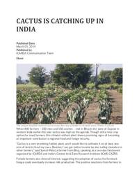 Cactus is catching up in India Cactus is catching up in India