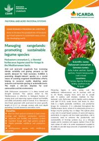 Managing rangelands: promoting sustainable legume species: Hedysarum coronarium L.: a biennial herbaceous legume used for forage in the Mediterranean basin Managing rangelands: promoting sustainable legume species: Hedysarum coronarium L.: a biennial herbaceous legume used for forage in the Mediterranean basin
