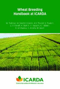 Wheat Breeding Handbook at ICARDA Wheat Breeding Handbook at ICARDA