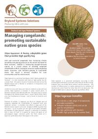 Managing rangelands: promoting sustainable native grass species: Stipa lagascae: A heavy, adaptable grass that provides high quality hay Managing rangelands: promoting sustainable native grass species: Stipa lagascae: A heavy, adaptable grass that provides high quality hay