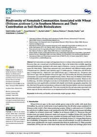 Biodiversity of Nematode Communities Associated with Wheat (Triticum aestivum L.) in Southern Morocco and Their Contribution as Soil Health Bioindicators