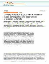 Diversity analysis of 80,000 wheat accessions reveals consequences and opportunities of selection footprints