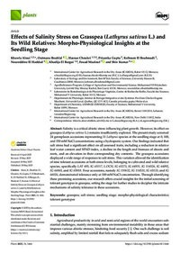 Effects of Salinity Stress on Grasspea (Lathyrus sativus L.) and Its Wild Relatives: Morpho-Physiological Insights at the Seedling Stage
