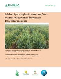 Reliable high-throughput Phenotyping Tools to assess Adaptive Traits for Wheat in Drought Environments Reliable high-throughput Phenotyping Tools to assess Adaptive Traits for Wheat in Drought Environments