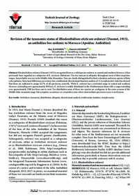 Revision of the taxonomic status of Rhodanthidium sticticum ordonezi (Dusmet, 1915), an anthidiine bee endemic to Morocco (Apoidea: Anthidiini) Revision of the taxonomic status of Rhodanthidium sticticum ordonezi (Dusmet, 1915), an anthidiine bee endemic to Morocco (Apoidea: Anthidiini)