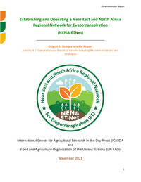 Output 9: Comprehensive Report Activity 9.2: Comprehensive Report of Results including Recommendations and Strategies Output 9: Comprehensive Report Activity 9.2: Comprehensive Report of Results including Recommendations and Strategies