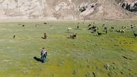 Scaling Sustainable Quinoa-Systems in the Altipiano of Bolivia: Awareness of the Problem and Demand for Solutions - Views from the Field Scaling Sustainable Quinoa-Systems in the Altipiano of Bolivia: Awareness of the Problem and Demand for Solutions - Views from the Field