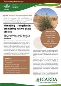 Managing rangelands: promoting native grass species: Stipa tenacissima: nurse species to initiate the process of ecosystem restoration Managing rangelands: promoting native grass species: Stipa tenacissima: nurse species to initiate the process of ecosystem restoration