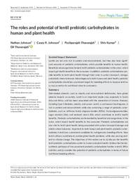The roles and potential of lentil prebiotic carbohydrates in human and plant health The roles and potential of lentil prebiotic carbohydrates in human and plant health