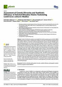 Assessment of Genetic Diversity and Symbiotic Efficiency of Selected Rhizobia Strains Nodulating Lentil (Lens culinaris Medik.) Assessment of Genetic Diversity and Symbiotic Efficiency of Selected Rhizobia Strains Nodulating Lentil (Lens culinaris Medik.)