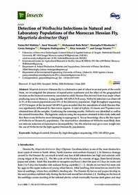 Detection of Wolbachia Infections in Natural and Laboratory Populations of the Moroccan Hessian Fly, Mayetiola destructor (Say)