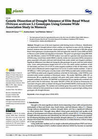 Genetic Dissection of Drought Tolerance of Elite Bread Wheat (Triticum aestivum L.) Genotypes Using Genome Wide Association Study in Morocco Genetic Dissection of Drought Tolerance of Elite Bread Wheat (Triticum aestivum L.) Genotypes Using Genome Wide Association Study in Morocco