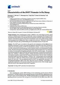 Characteristics of the BMP7 Promoter in Hu Sheep