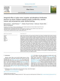 Integrated effect of saline water irrigation and phosphorus fertilization practices on wheat (Triticum aestivum) growth, productivity, nutrient content and soil proprieties under dryland farming 