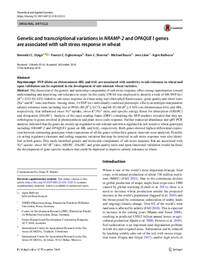 Genetic and transcriptional variations in NRAMP‑2 and OPAQUE1 genes are associated with salt stress response in wheat. Genetic and transcriptional variations in NRAMP‑2 and OPAQUE1 genes are associated with salt stress response in wheat.