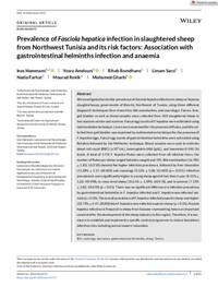 Prevalence of Fasciola hepatica infection in slaughtered sheep from Northwest Tunisia and its risk factors: Association with gastrointestinal helminths infection and anaemia