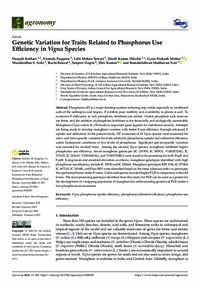 Genetic Variation for Traits Related to Phosphorus Use Efficiency in Vigna Species