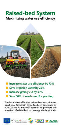 Poster Roll Up: Mechanized Raised-Bed System Poster Roll Up: Mechanized Raised-Bed System