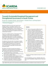 Towards Sustainable Rangeland Management and Strengthened Governance in South Tunisia Towards Sustainable Rangeland Management and Strengthened Governance in South Tunisia