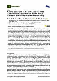 Genetic Dissection of the Seminal Root System Architecture in Mediterranean Durum Wheat Landraces by Genome-Wide Association Study