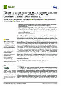 Hybrid Seed Set in Relation with Male Floral Traits, Estimation of Heterosis and Combining Abilities for Yield and Its Components in Wheat (Triticum aestivum L.) Hybrid Seed Set in Relation with Male Floral Traits, Estimation of Heterosis and Combining Abilities for Yield and Its Components in Wheat (Triticum aestivum L.)