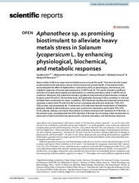 Aphanothece sp. as promising biostimulant to alleviate heavy metals stress in Solanum lycopersicum L. by enhancing physiological, biochemical, and metabolic responses