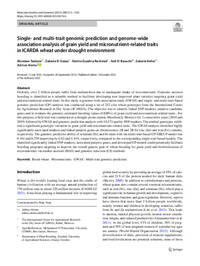 Single- and multi-trait genomic prediction and genome-wide association analysis of grain yield and micronutrient-related traits in ICARDA wheat under drought environment Single- and multi-trait genomic prediction and genome-wide association analysis of grain yield and micronutrient-related traits in ICARDA wheat under drought environment