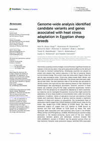 Genome-wide analysis identified candidate variants and genes associated with heat stress adaptation in Egyptian sheep breeds Genome-wide analysis identified candidate variants and genes associated with heat stress adaptation in Egyptian sheep breeds