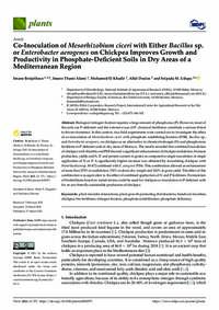 Co-Inoculation of Mesorhizobium ciceri with Either Bacillus sp. or Enterobacter aerogenes on Chickpea Improves Growth and Productivity in Phosphate-Deficient Soils in Dry Areas of a Mediterranean Region