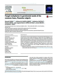 Fungal endophytes in germinated seeds of the common bean, Phaseolus vulgaris Fungal endophytes in germinated seeds of the common bean, Phaseolus vulgaris