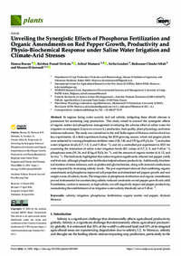 Unveiling the Synergistic Effects of Phosphorus Fertilization and Organic Amendments on Red Pepper Growth, Productivity and Physio-Biochemical Response under SalineWater Irrigation and Climate-Arid Stresses