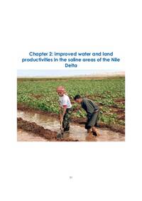 Improved water and land productivities in the saline areas of the Nile Delta Improved water and land productivities in the saline areas of the Nile Delta